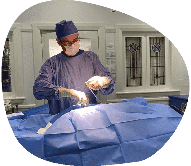 Dr Ross Performing Surgery — Vets in Dubbo, NSW