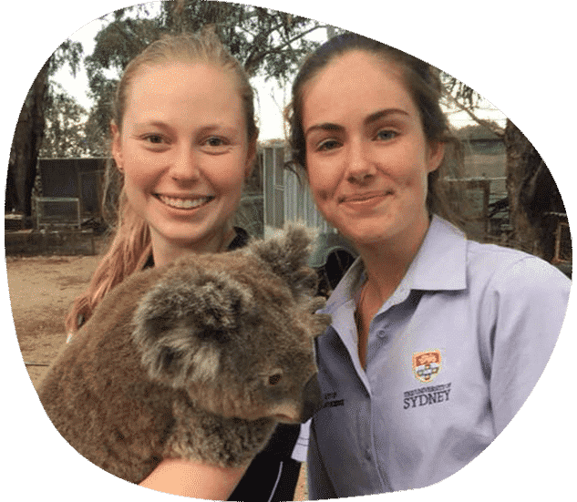 Experienced Vet With Young Lady And Koala — Vets in Dubbo, NSW