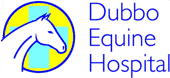 Dubbo Equine Hospital